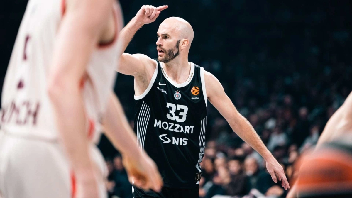calathes partizan